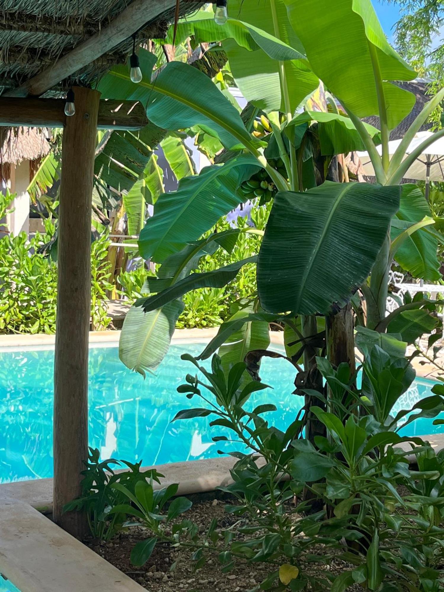 Villas Tikuch Extérieur photo